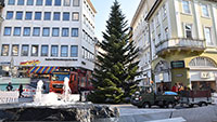 Oh Tannenbaum in ganz Baden-Baden – Mit 14 Meter ein besonders hoher Weihnachtsbaum am Leopoldsplatz 