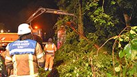 Feuerwehreinsatz wegen Unwetters in Baden-Baden – Umgestürzte Bäume und überflutete Fahrbahn im Michaelstunnel